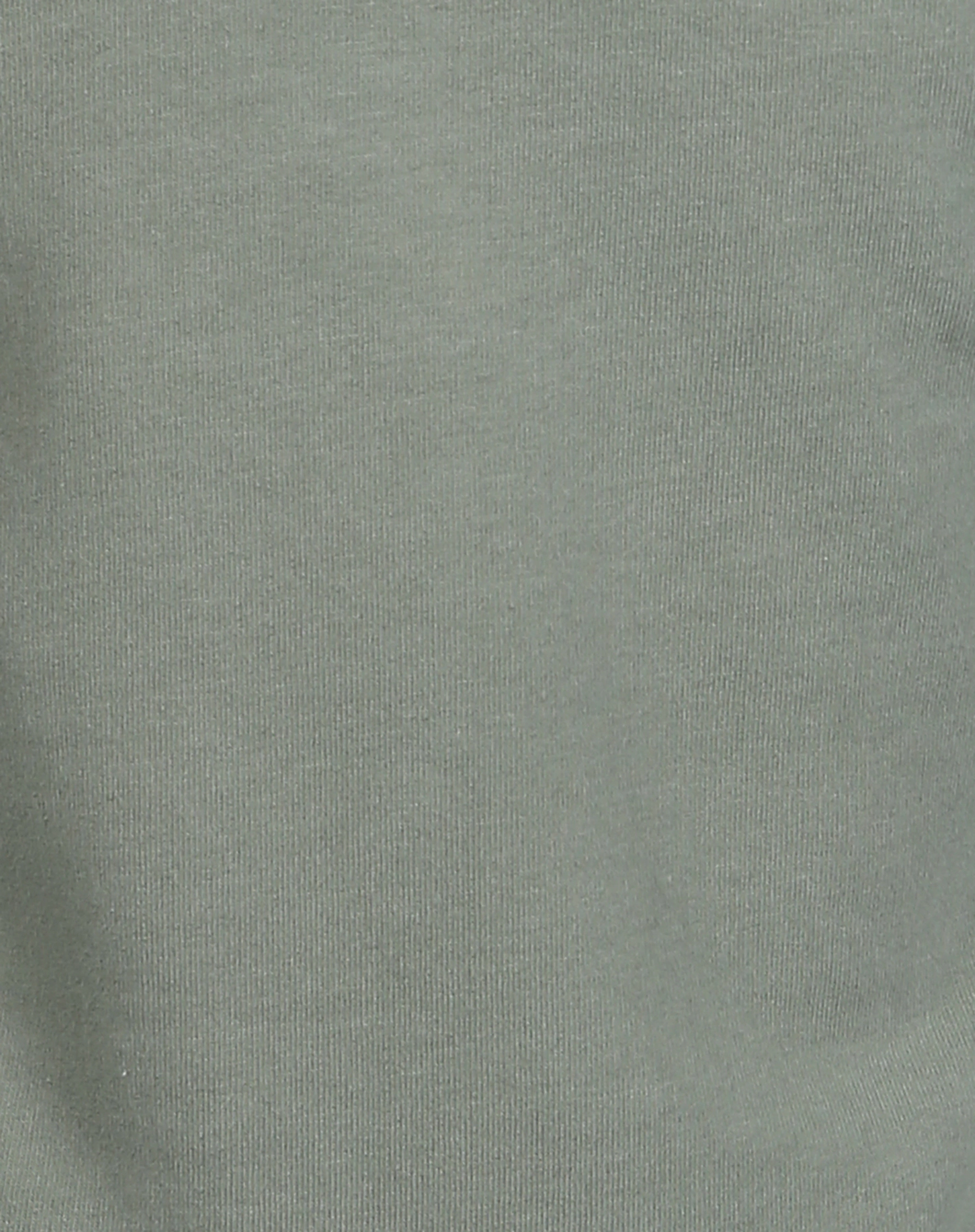 Sweatshirt SCHILDKRÖTE in sea spray