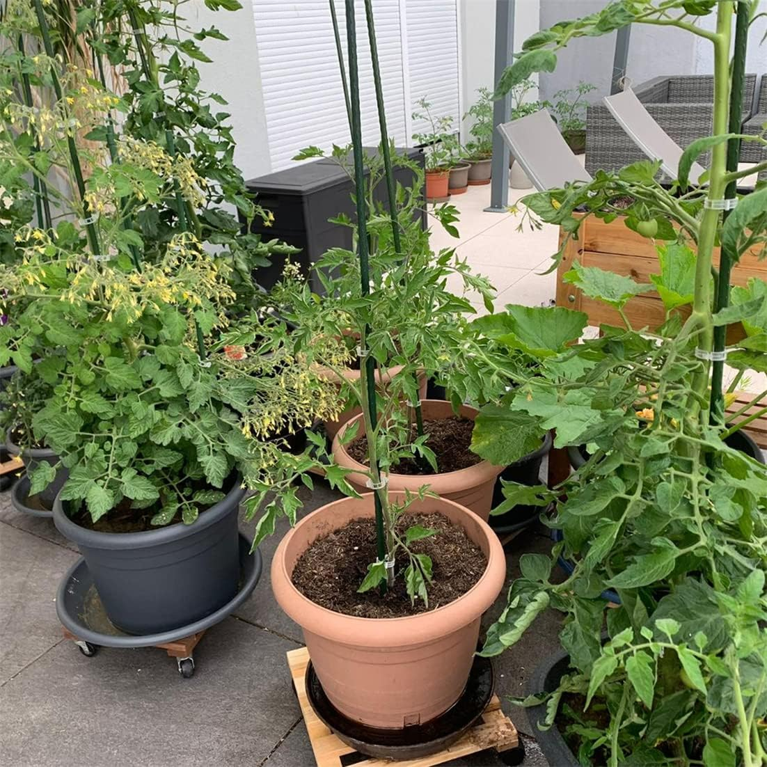 (10er Set) 90cm Garten Pflanzen Stab Blumen Rankhilfe Tomaten Stütze Staudenhalter - Grün