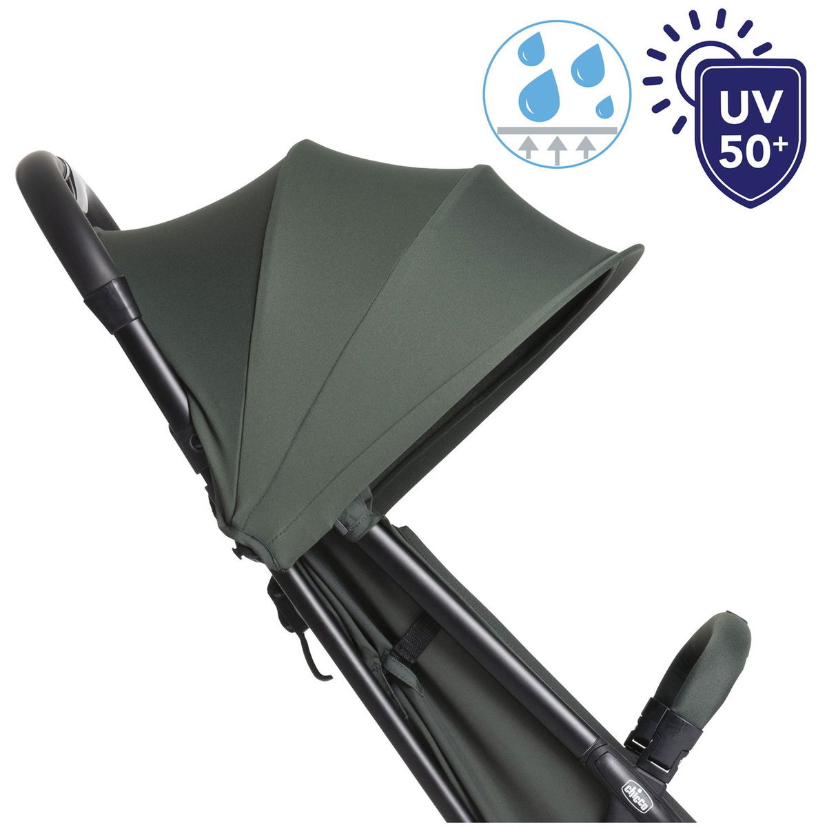 ChiccoChicco   Urbino evergreen