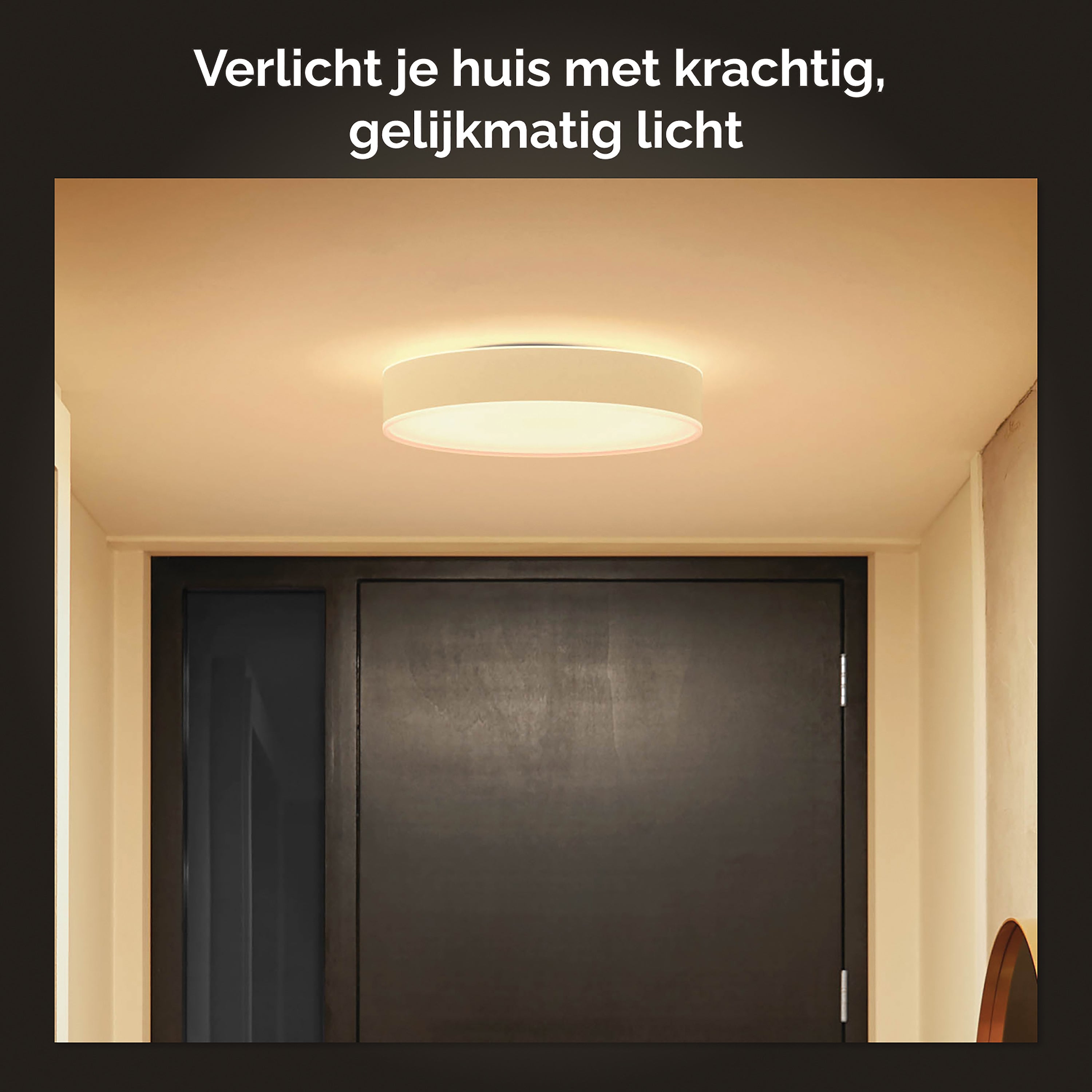 Philips Hue Enrave Plafondlamp - S - Wit