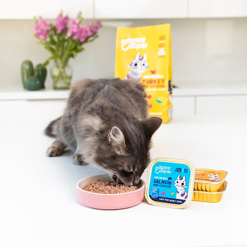 Edgard & Cooper Kuipjes Zalm en Kip Pate Adult Kat 16 x 85 gram | 12578