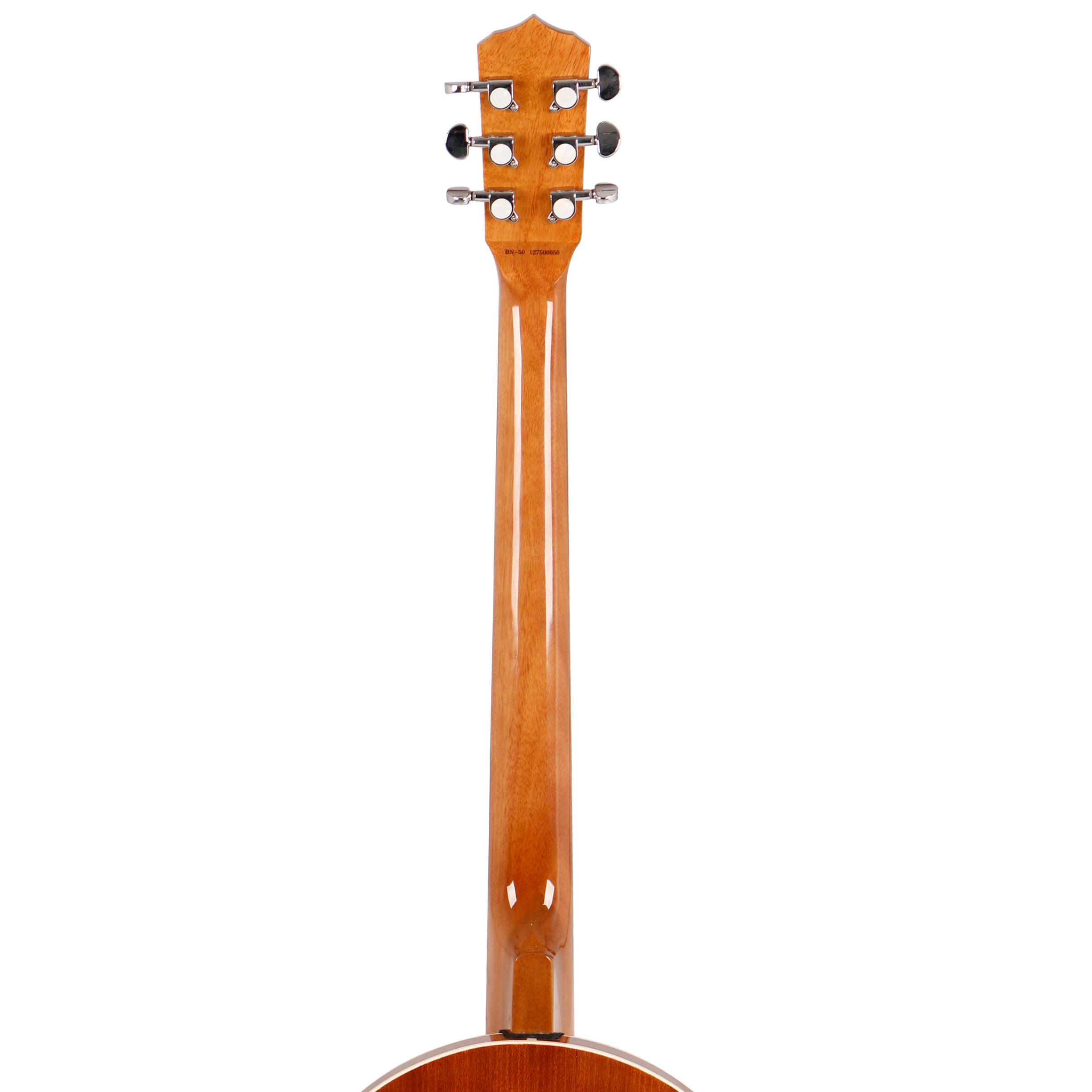 Fazley BN-50 6-snarige banjo