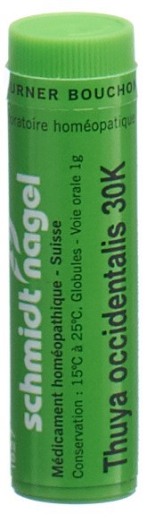 SCHMIDT-NAGEL Thuya occidentalis Glob 30 K 1 g