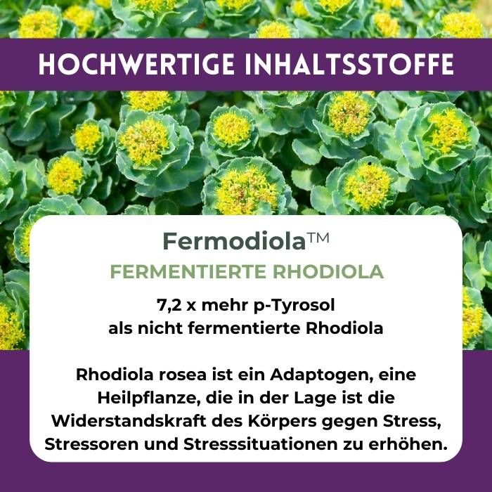 Müde Mama Kapseln bei Stress und Übermüdung
