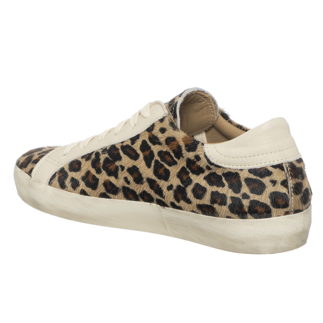 Loretta Pettinari Sneakers en Cuir Zoé léopard