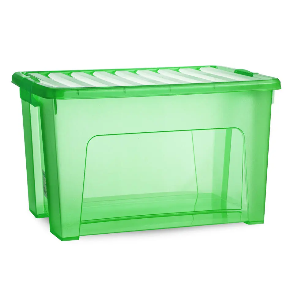 Plasticforte Opbergbox met deksel - groen - 47L - kunststof