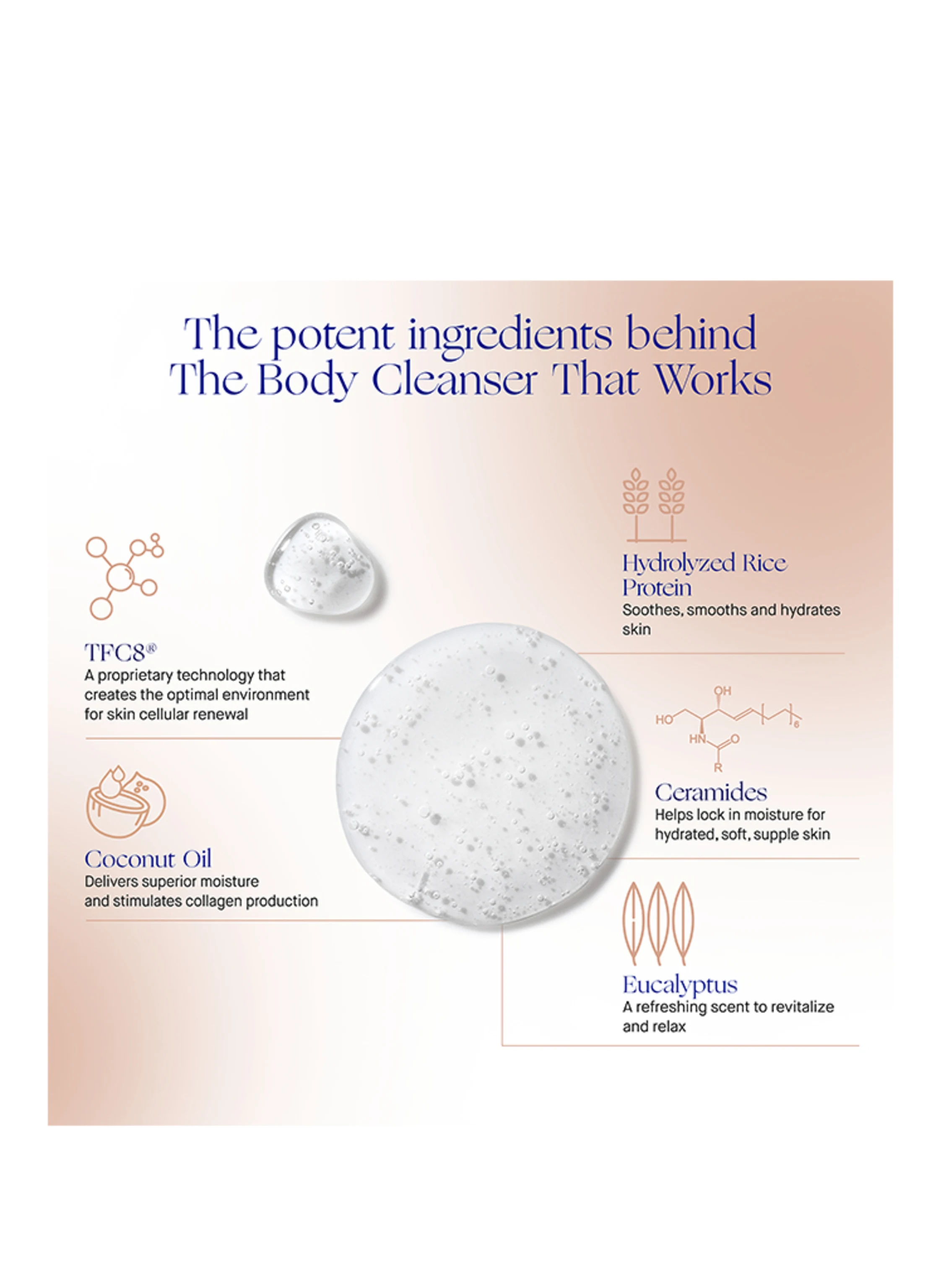 Augustinus Bader THE BODY CLEANSER