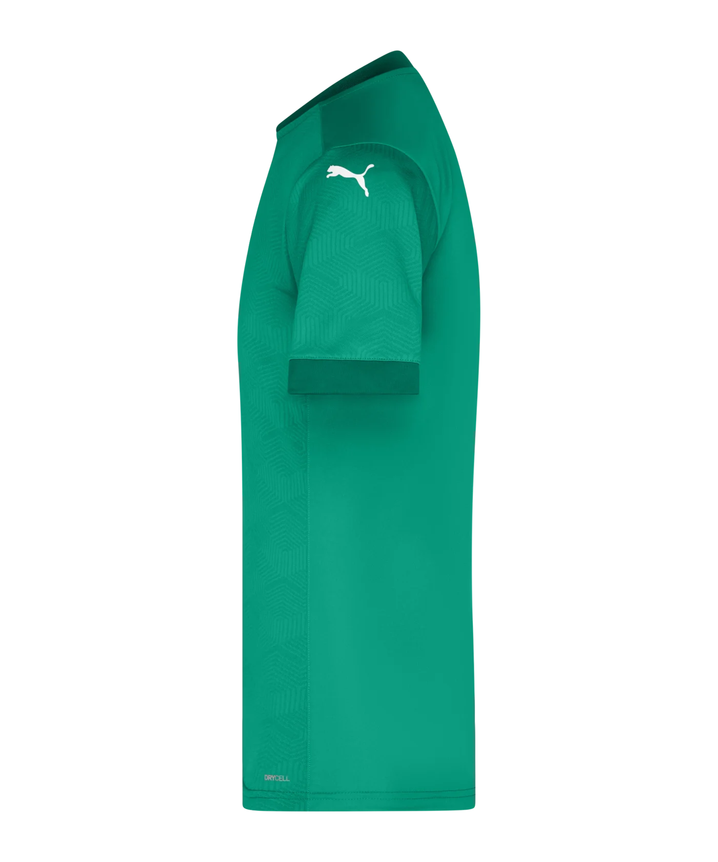 PUMA teamGOAL 23 Trikot kurzarm Grün F05