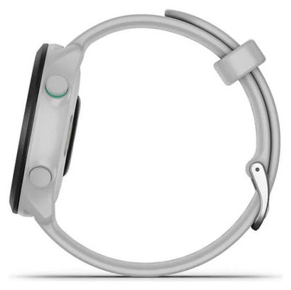Montre de Sport Garmin Forerunner 55 Blanc