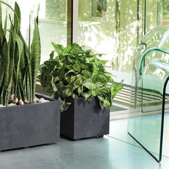Pot Cube Millenium à réserve d'eau en plastique Anthracite 25xH.25cm