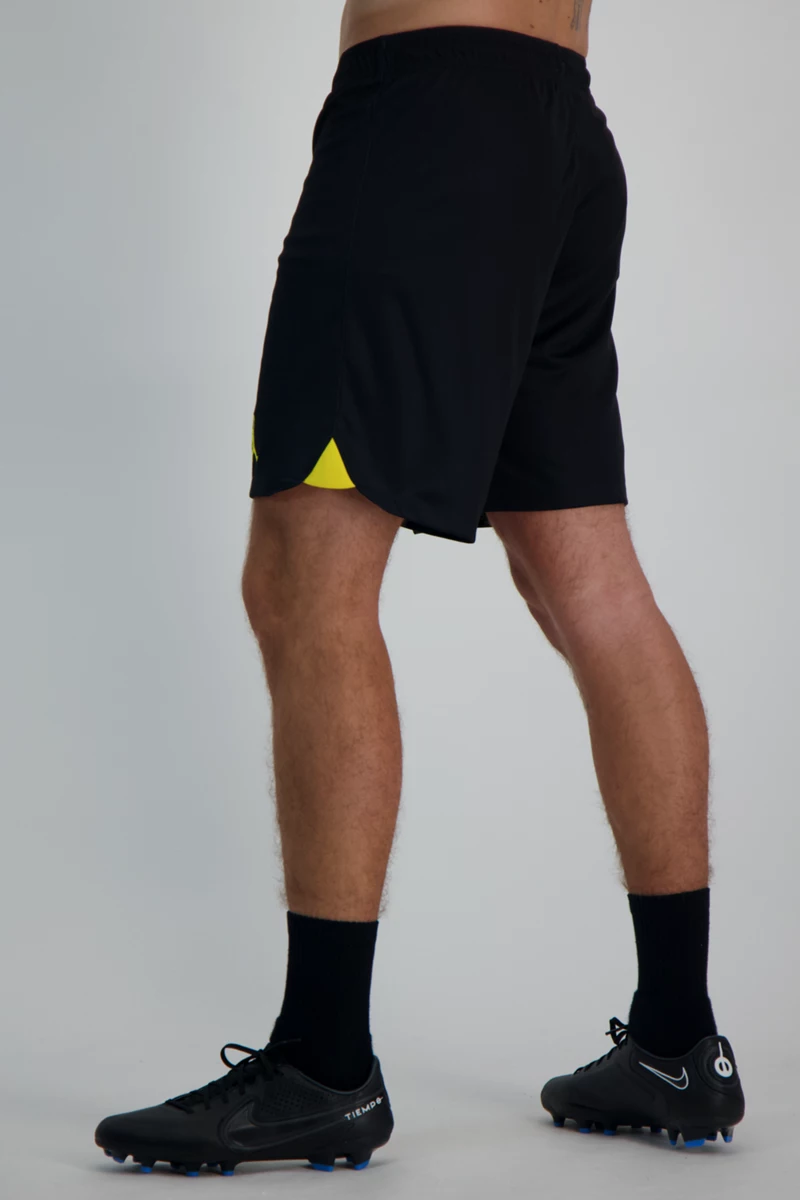 Nike Paris Saint-Germain Stadium 4th Herren Short 2223