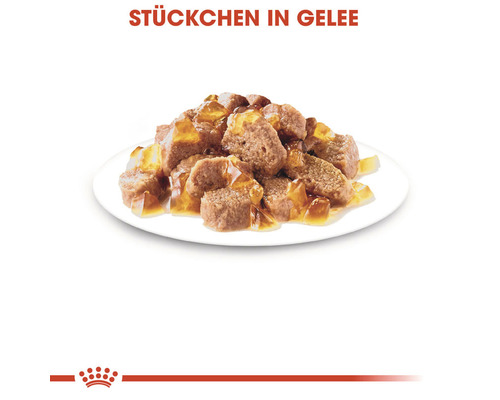 ROYAL CANIN Instinctief nat kattenvoer in gelei 85g
