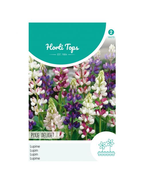 Hortitops Lupinus - Lupine Pixie Deliggemengd - Bloemenzaden - 2 g