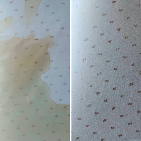 Détachant express - tapis - tissus d'ameublement - S.O.S Spot Remover - spr