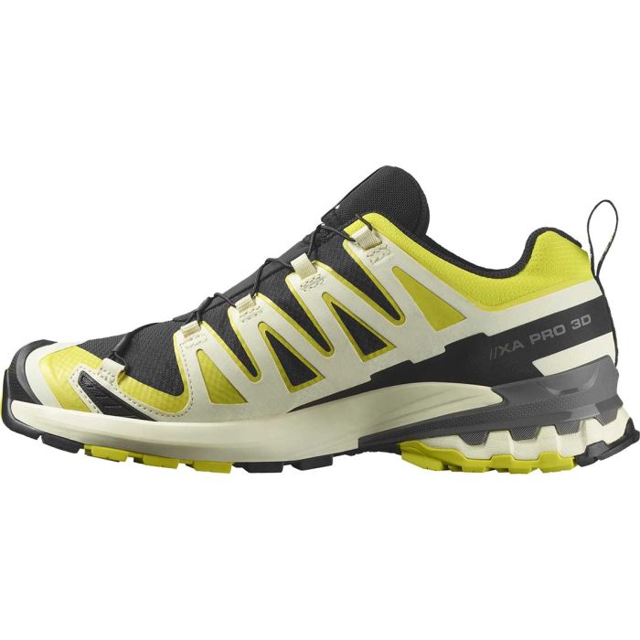 XA Pro 3D V9 GTX Men herresko