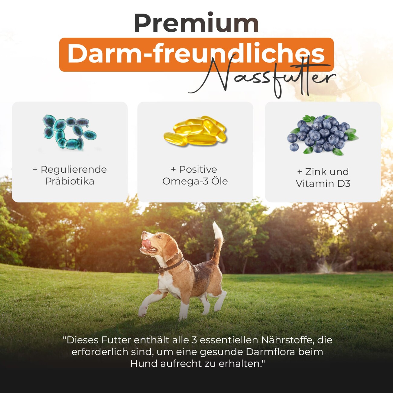 Balloony.pet German Shephy Nassfutter Truthahn 200 g