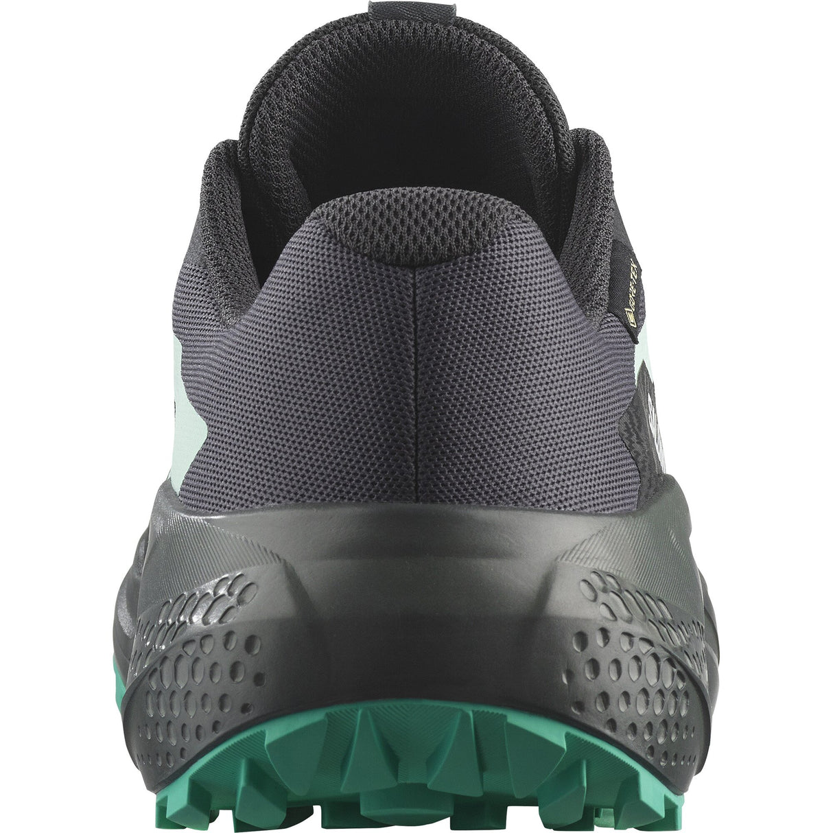 Salomon<br>Alphaglide GTX W