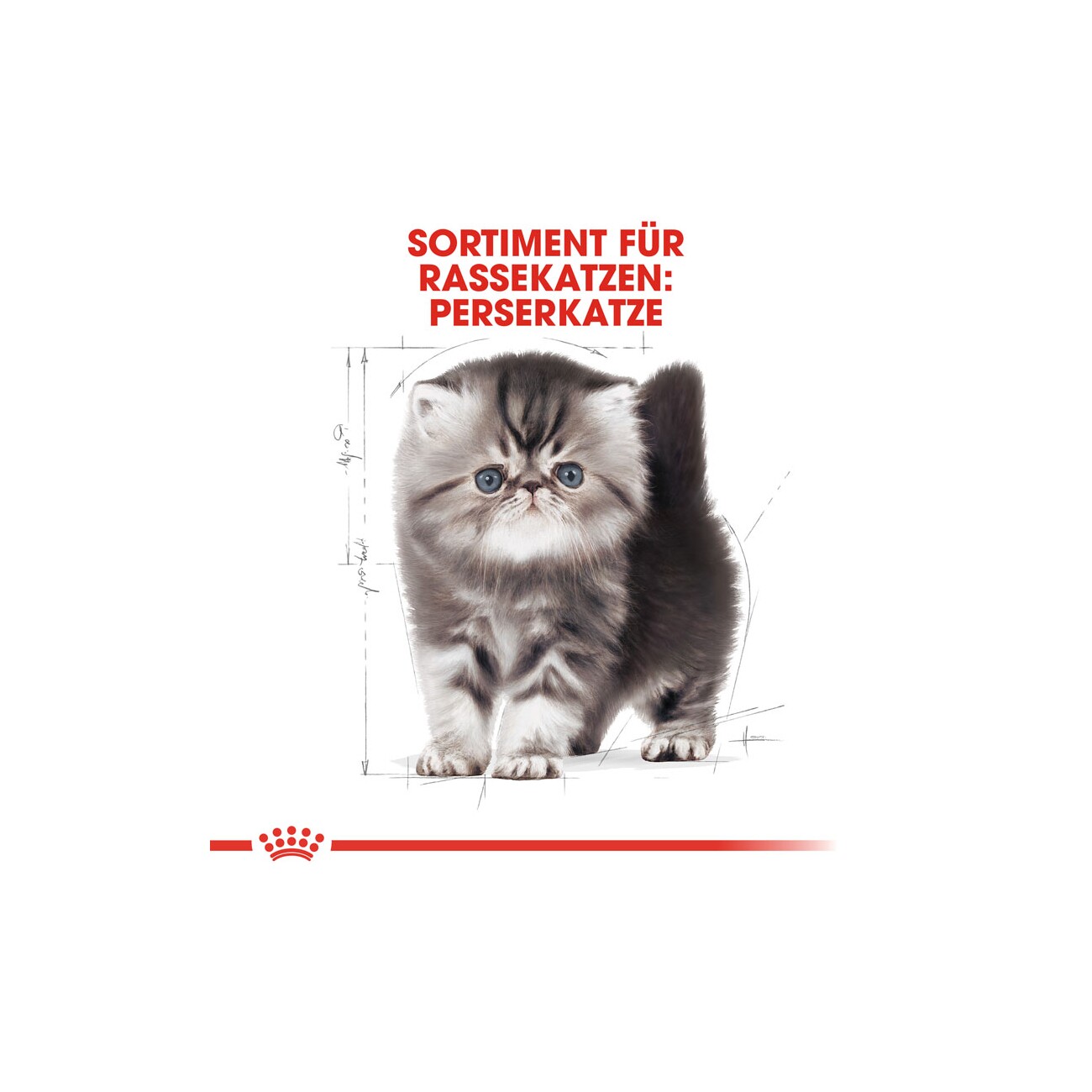 ROYAL CANIN Persian Kitten 4 kg