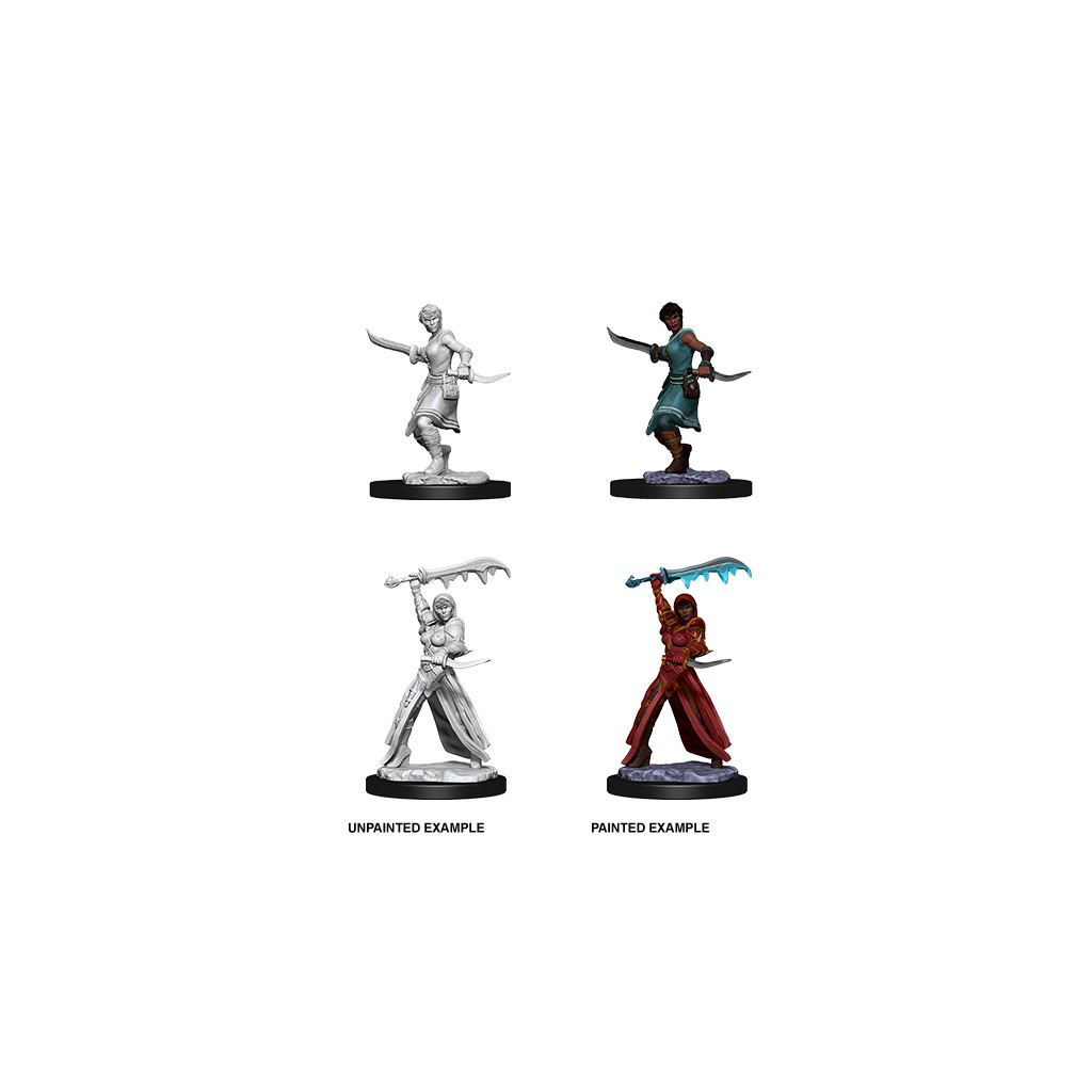D&D Nolzur's Marvelous Unpainted Miniatures: Female Human Rogue