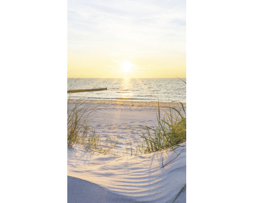 Doucheachterwand SCHULTE DecoDesign foto duinidylle strand 255 x 150 cm D190152523 596