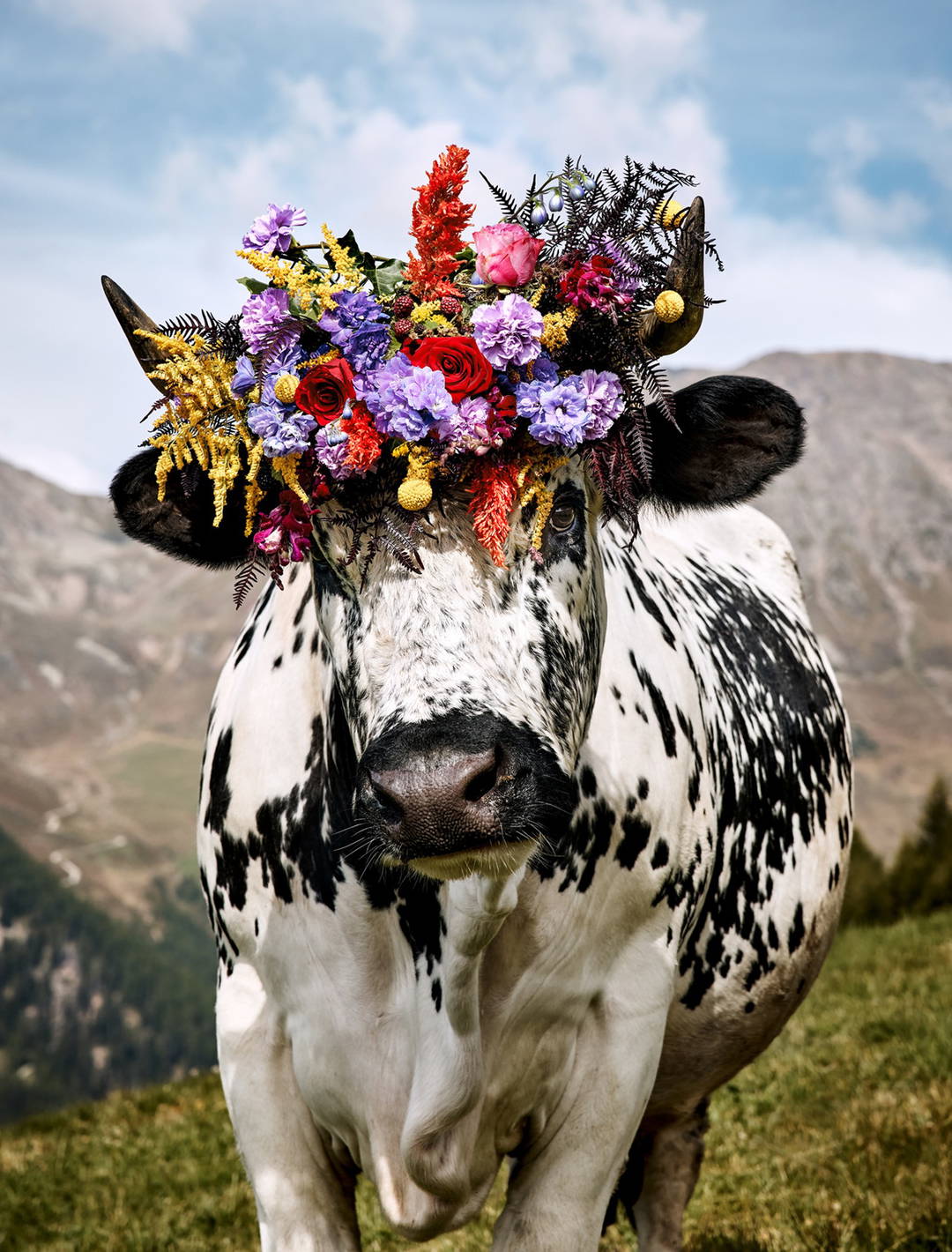 Olga by Ramona Waldner - Limited Edition. Edition of: 150. Signed.