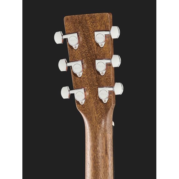 Martin Guitar GPC-13E-01 Ziricote