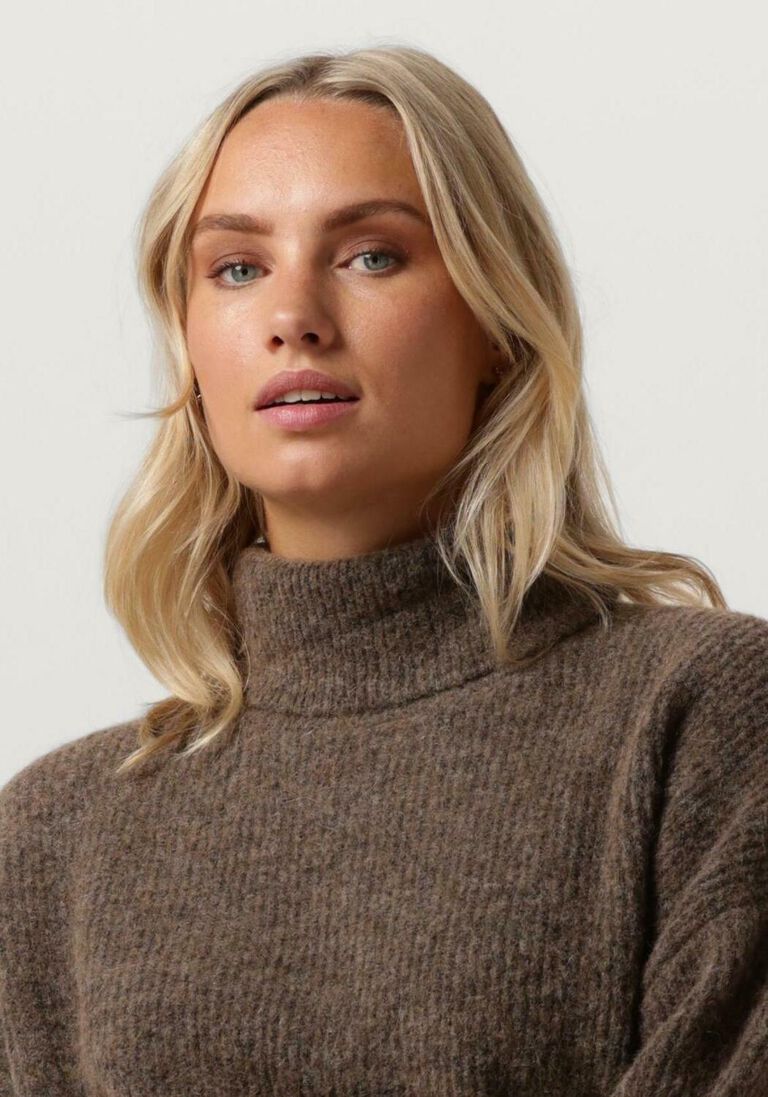 GESTUZ bruine gestuz coltrui alphagz ls rollneck noos