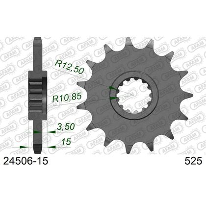 Kit chaine AFAM 525 Type Acier origine