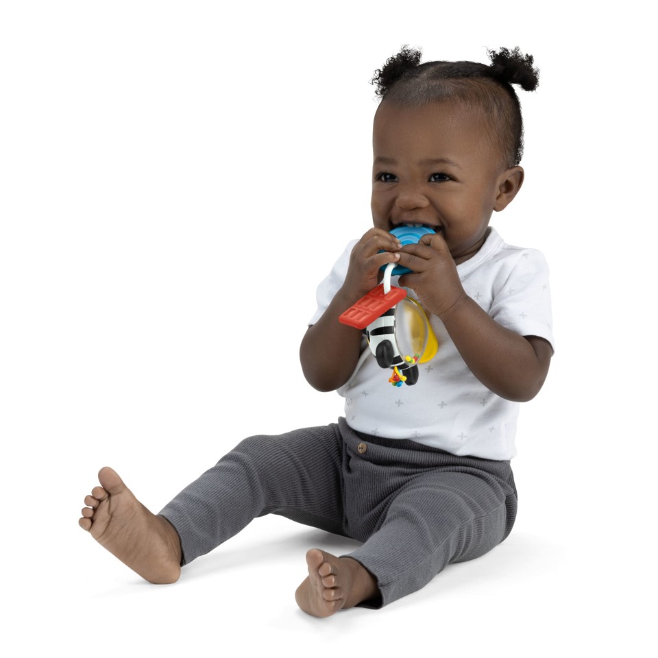 Baby Einstein - Shake-a-Shape Zen - bidelegetøj