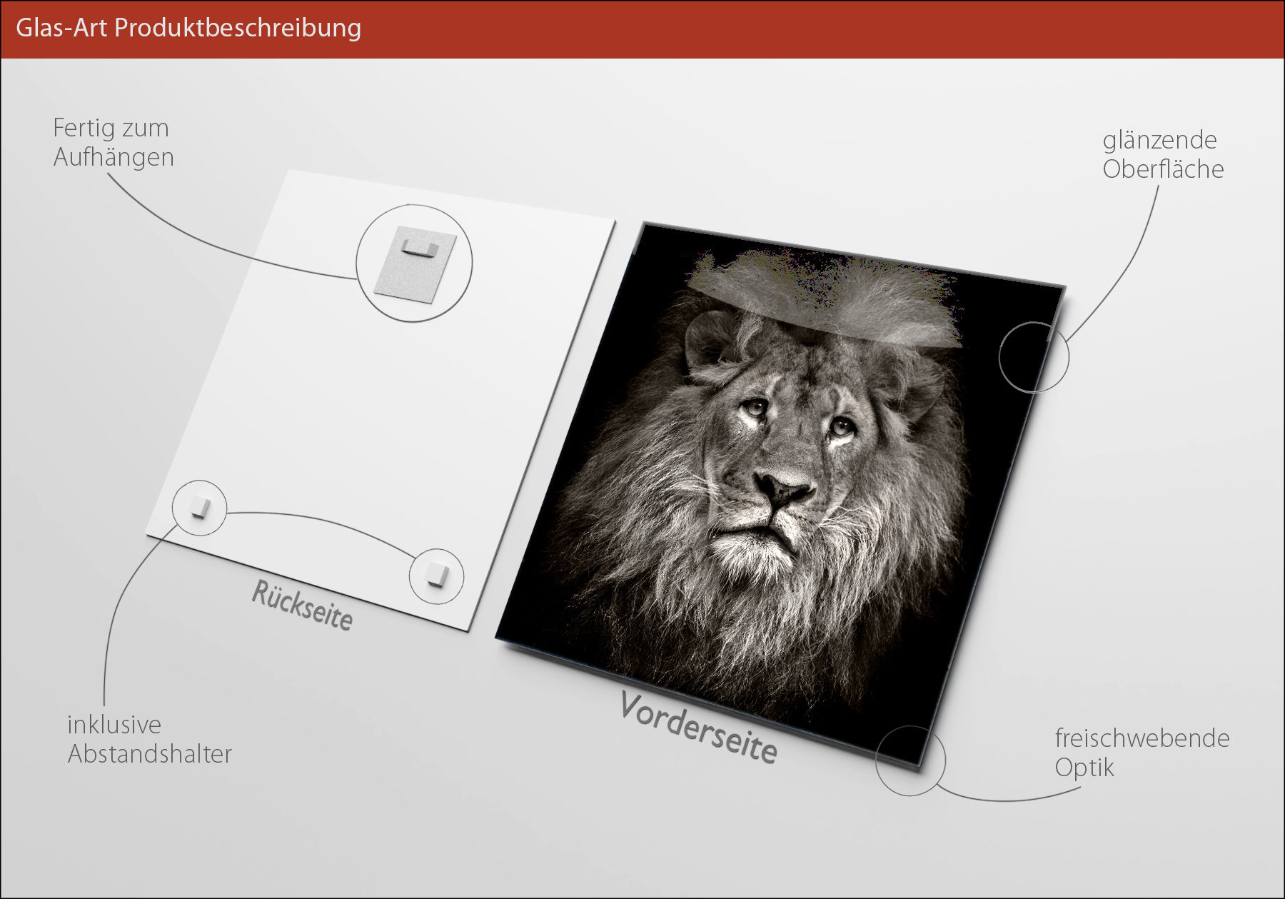 Glasbild LION HEAD