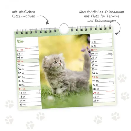 Trötsch Postkartenkalender 