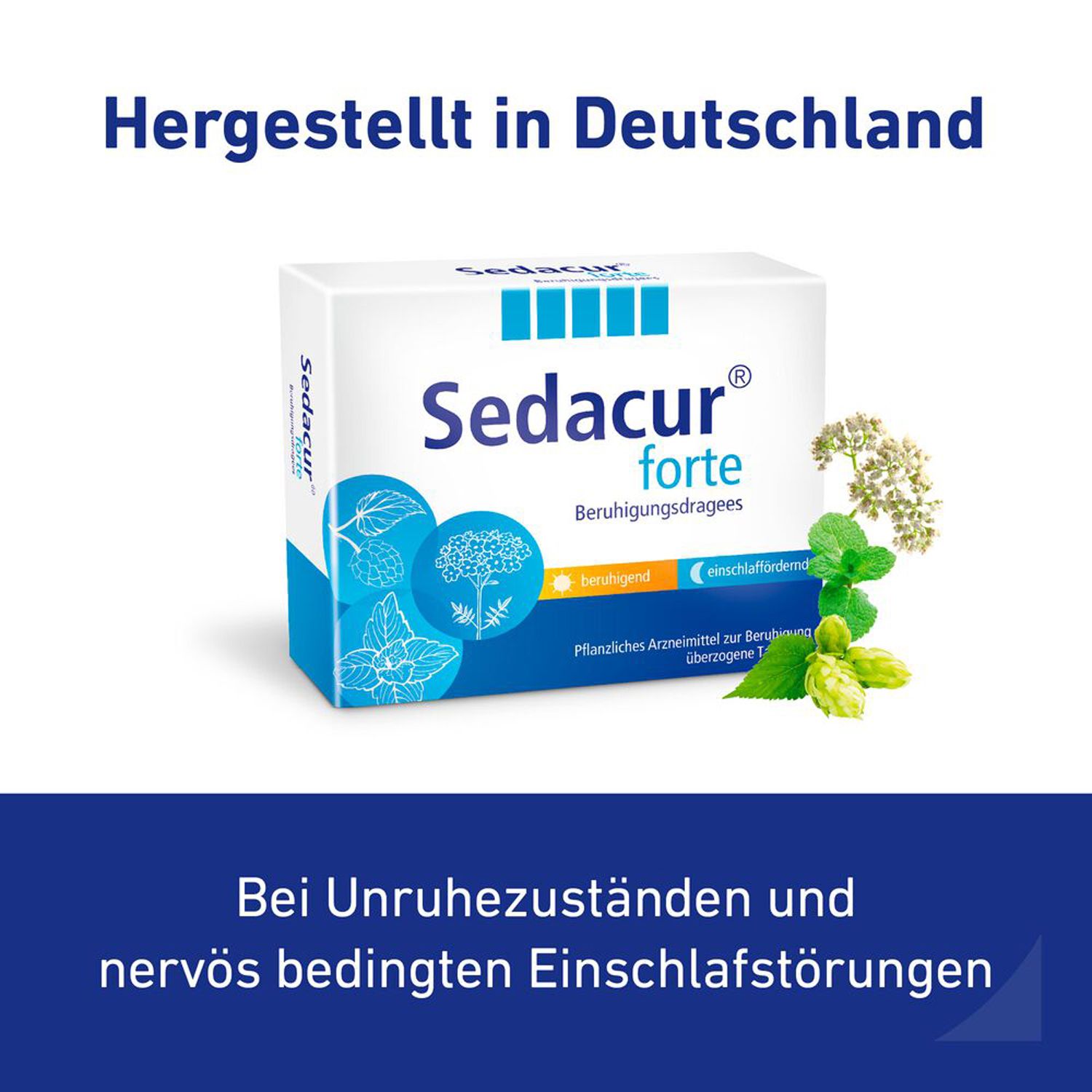 Sedacur forte bei Einschlafstörungen & Unruhezuständen