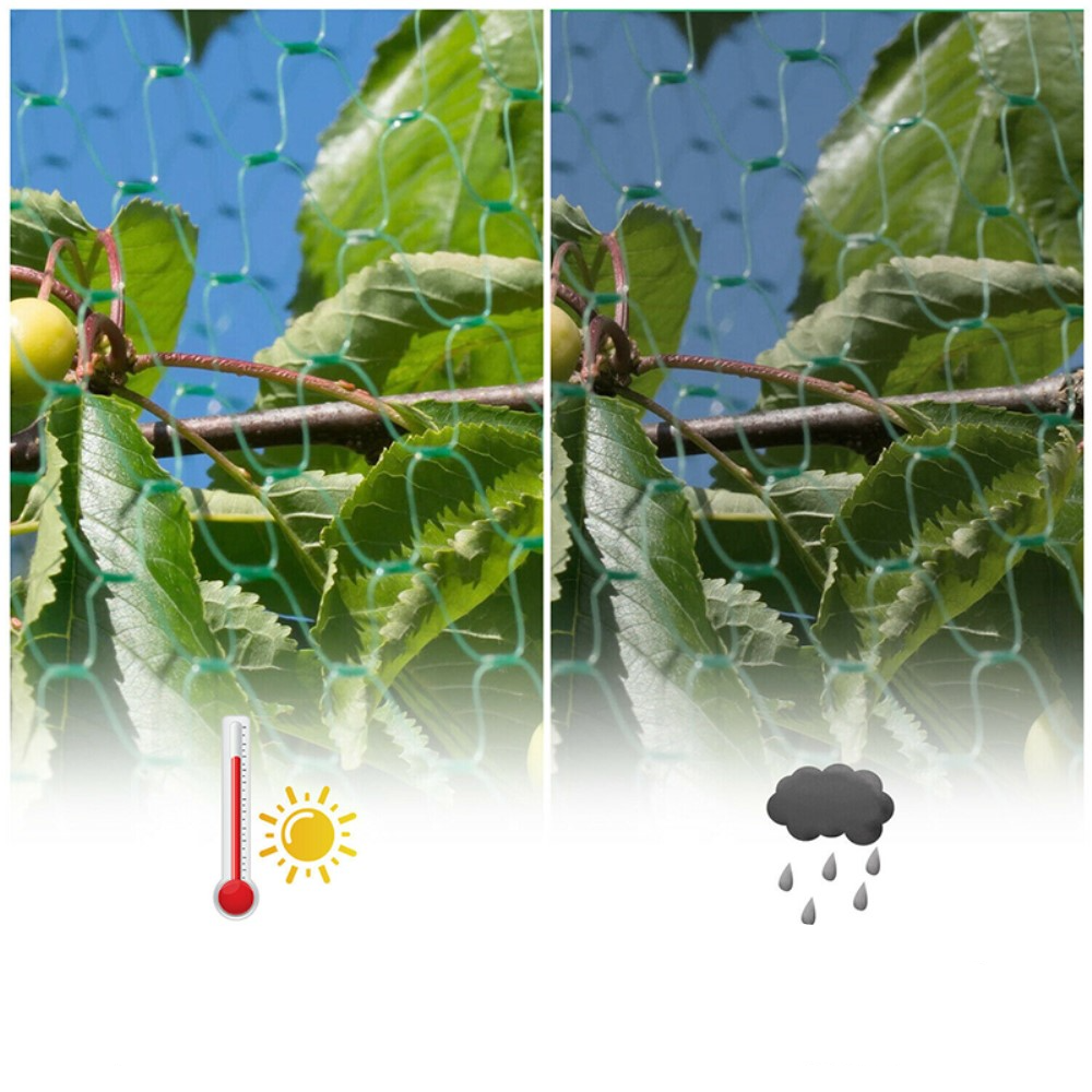 (2x5m) Garten Vogel Schutz Netz für Bäume / Pflanzen / Teiche  - Grün