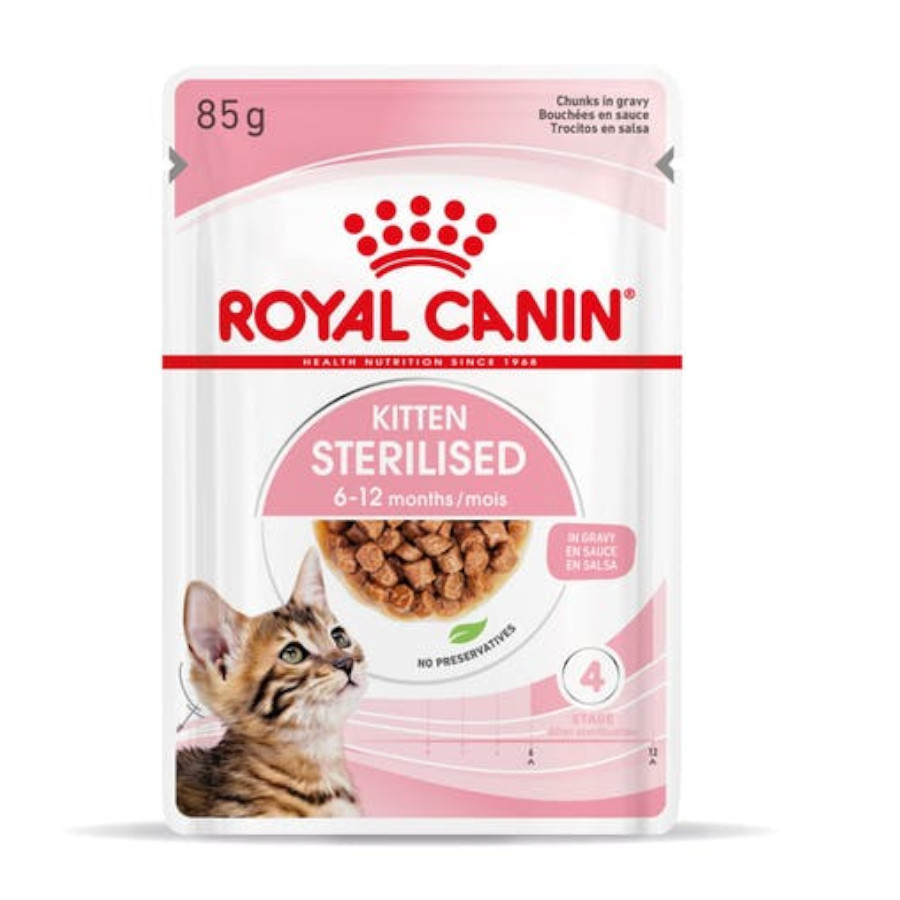 Molho em pó esterilizado Royal Canin Kitten para gatos.
