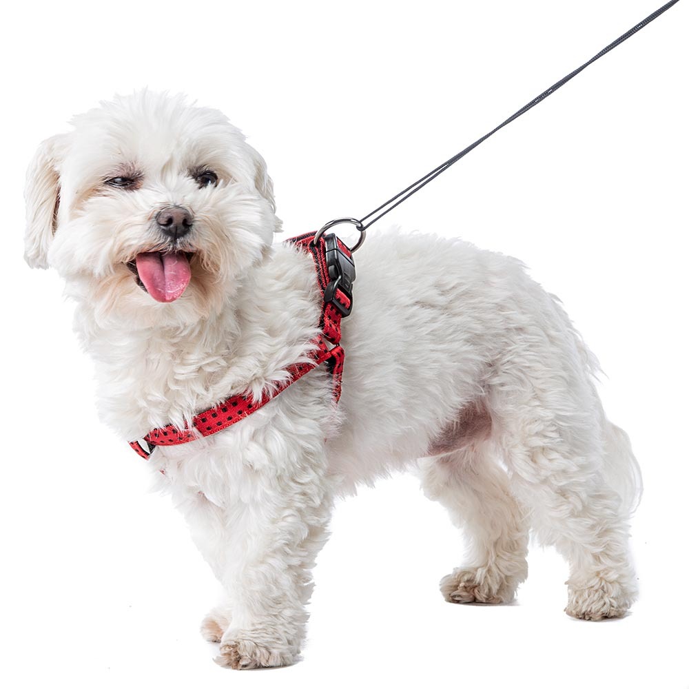 Harnais pour chiens cricket medium, résistant, rembourré et réglable