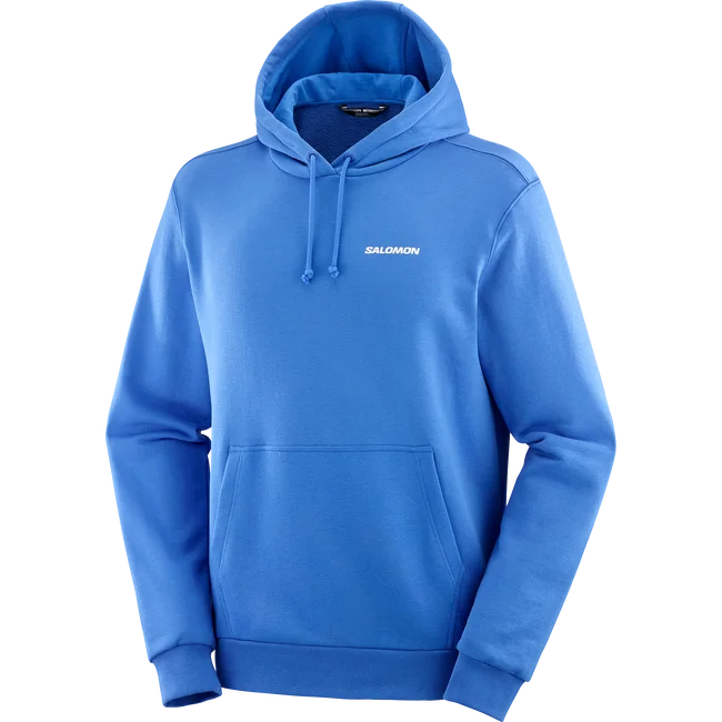 SALOMON WINDOW GRAPHIC  Kapuzensweatshirt Herren
