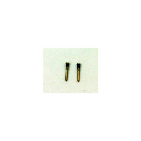 Kit 2 Parafusos para iPhone 11 Pro Max A2161 A2218 A2220 Gold