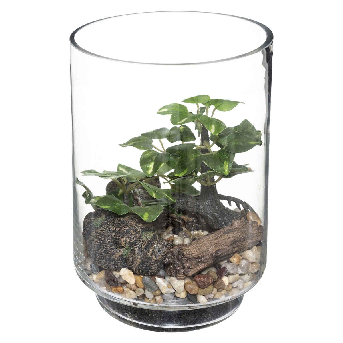 TERRARIUM BONSAI H.19CM
