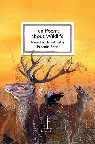 Ten Poems about Wildlife (Paperback)