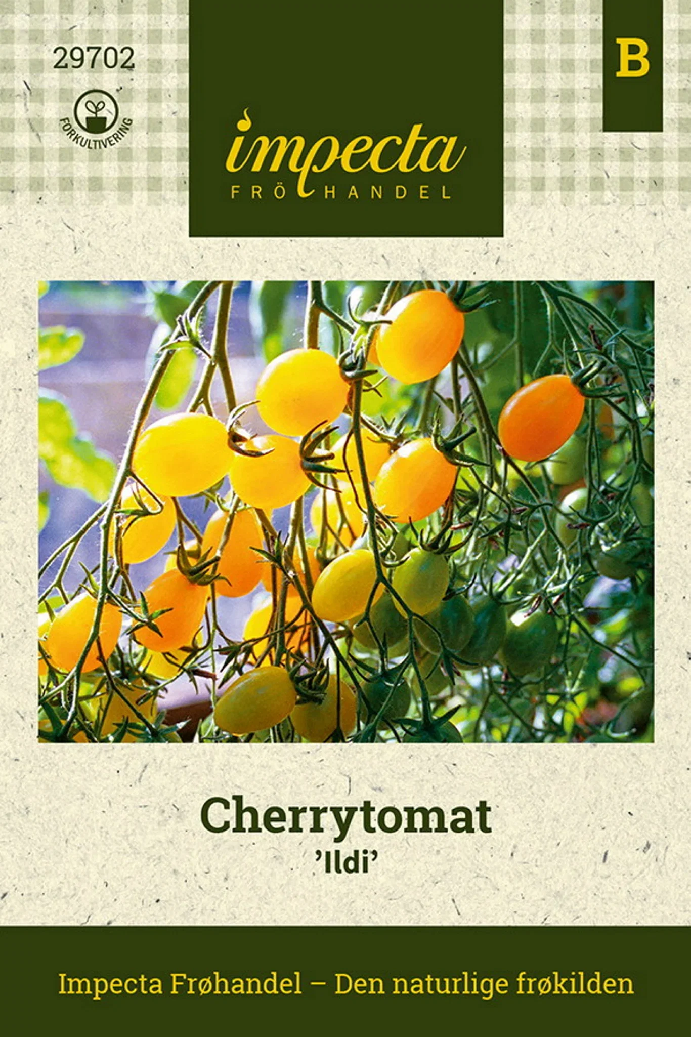 Solanum lycopersicum 'Ildi' Cherrytomat 'Ildi'