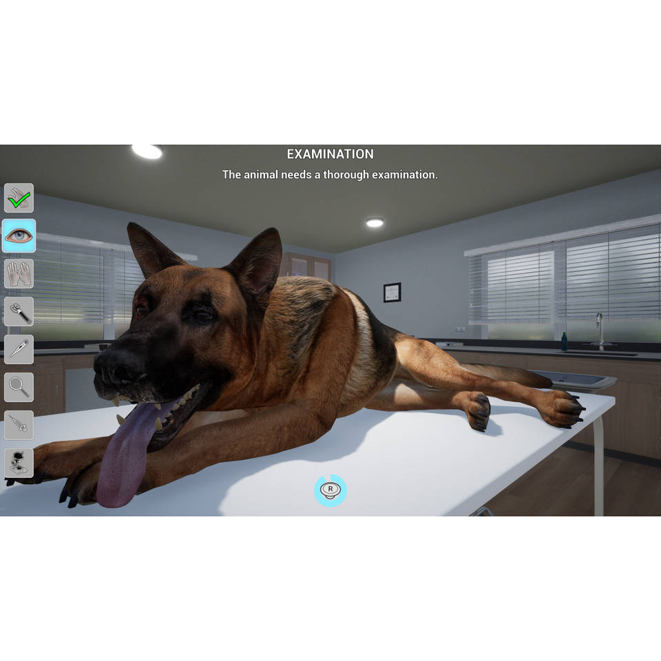 Mijn leven dierenarts Nintendo Switch