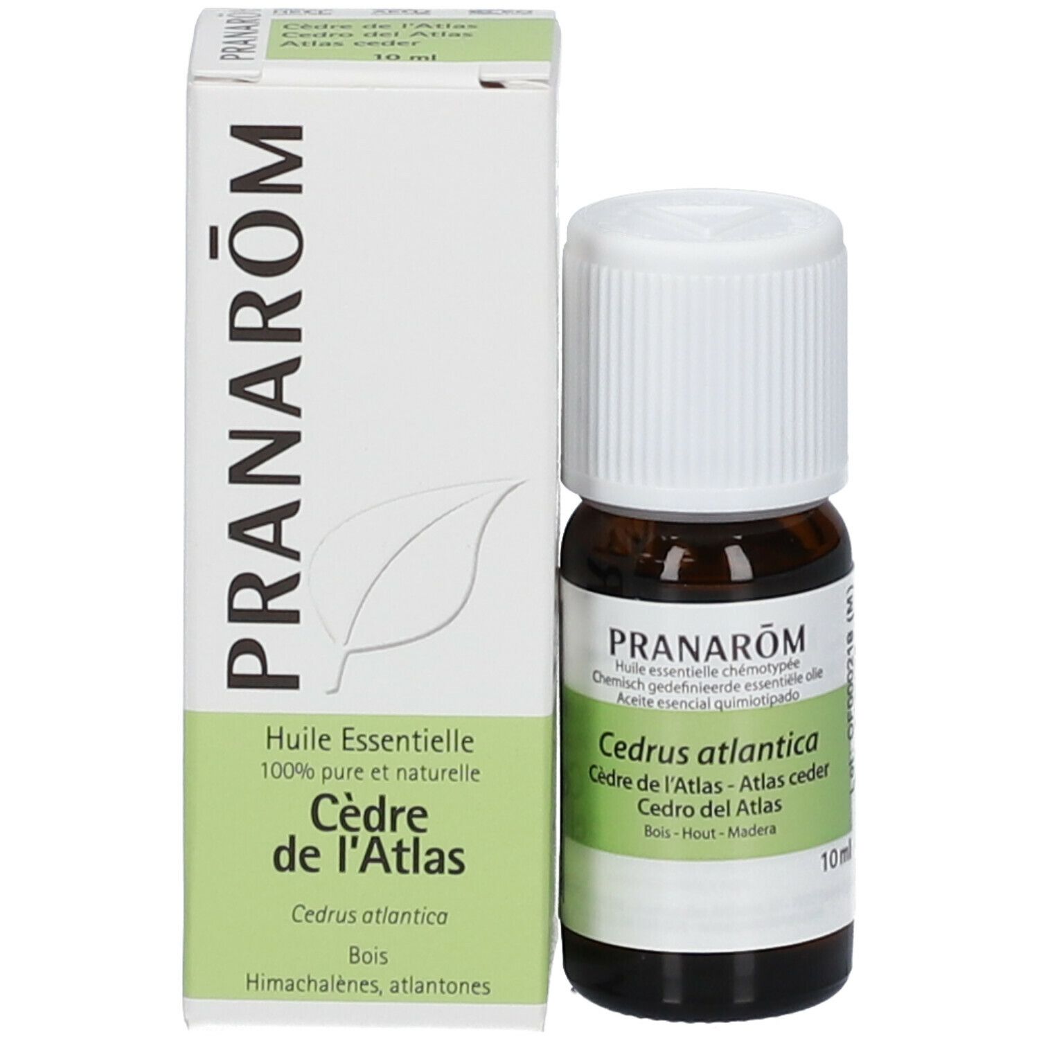 PRANAROM Ceder Atlas
