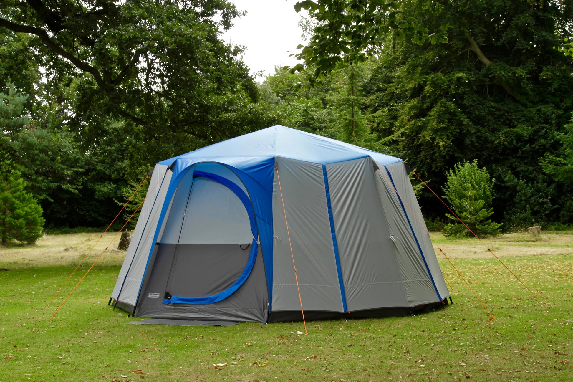 Octagon 8 Blau