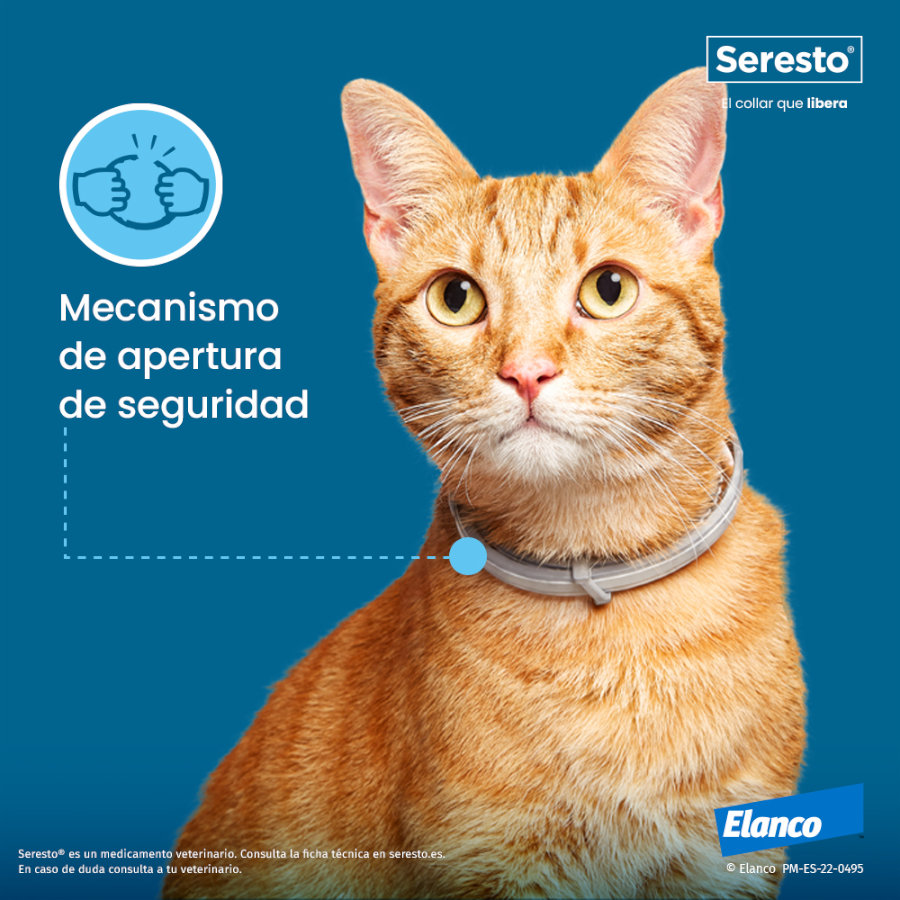 x Seresto Collar Antiparasitario para gatos 38cm - Pack Ahorro