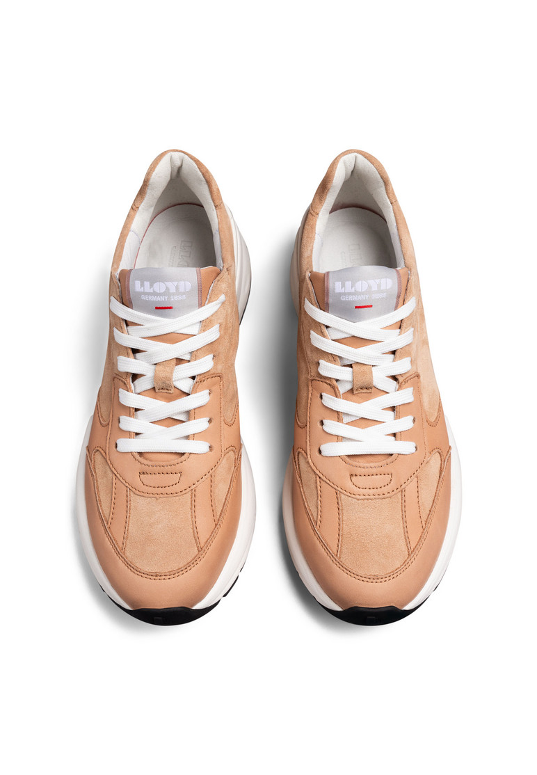 SNEAKER Braun