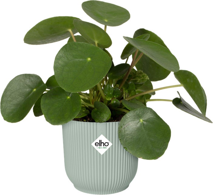 Elho bloempot Vibes groen D 14,1 H 12,9 cm