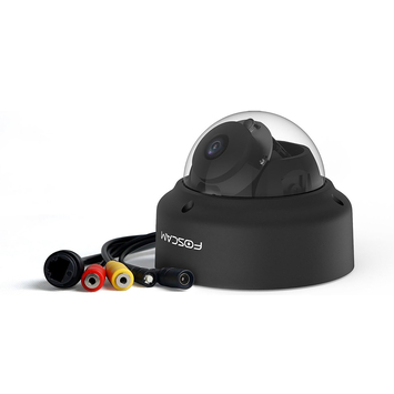 Foscam D2EP Zwart
