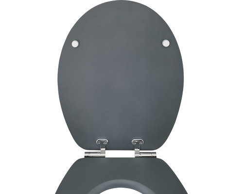 form&style toiletzitting voor dames en heren, matte afwerking, met soft-close mechanisme