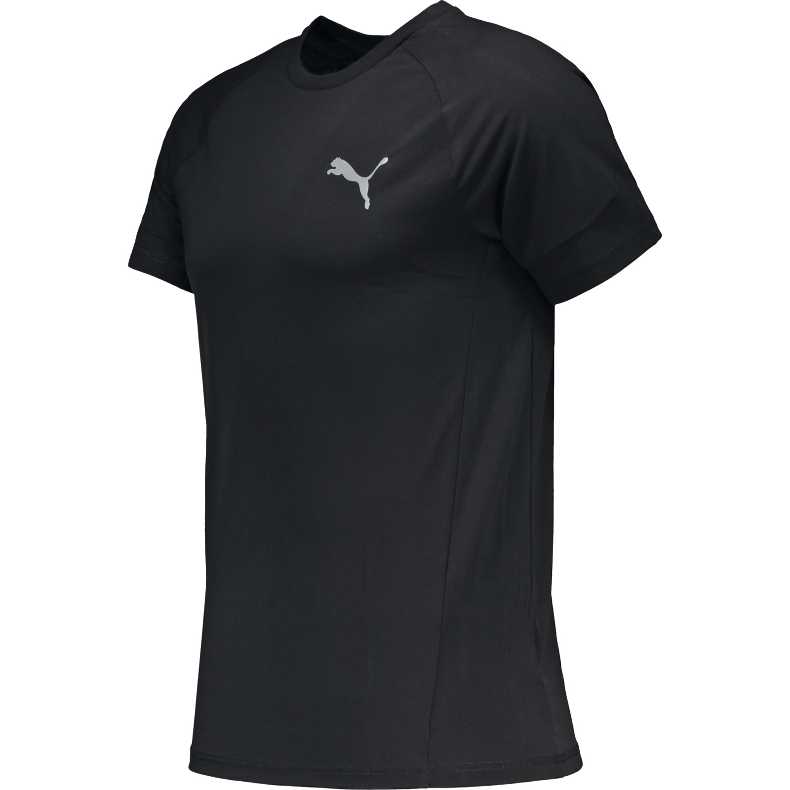 Puma Herren-T-Shirt Evostripe L