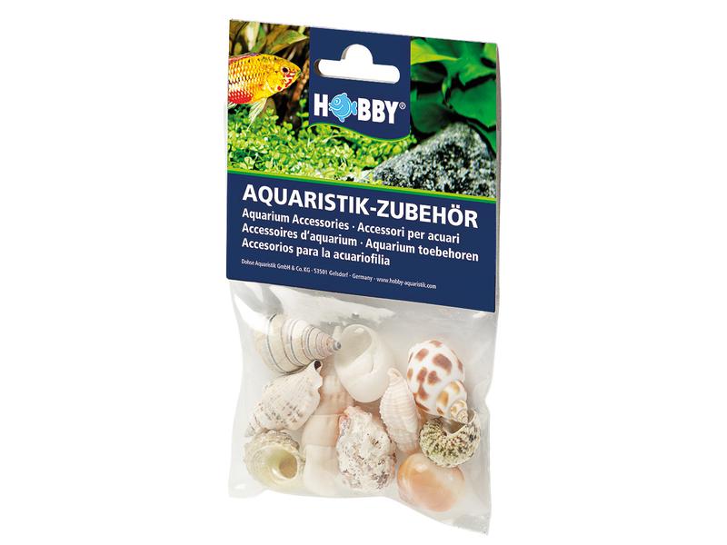 Hobby Aquaristik Dekoration Sea Shells Set, M, 10 Stück Schneckenhäuser zur natürlichen Dekoration